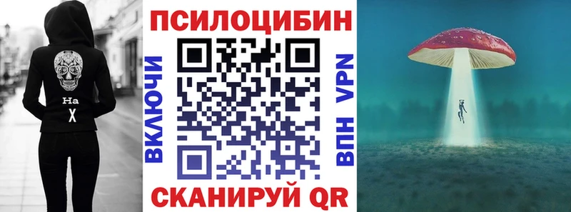 Купить  Волосово  Псилоцибиновые грибы прущие грибы 